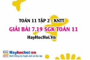 Bài 7.19 SGK Toán 11 Tập 2 Kết nối tri thức
